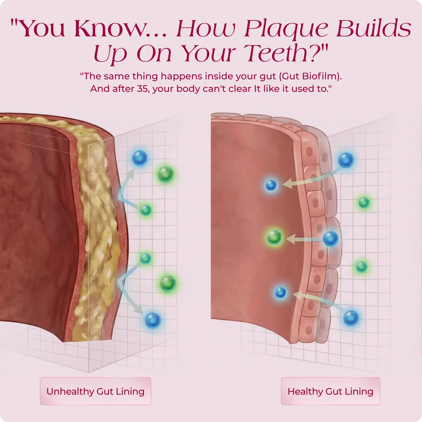 Nuora™ Gut Biofilm Ritual