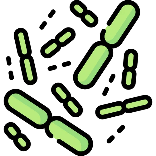 Nuora